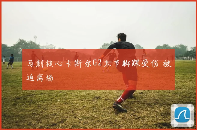 马刺核心卡斯尔G2末节脚踝受伤 被迫离场